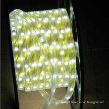 Factory Hot Sale Bright High Quality 3 Years Warranty Flexible LED Strip Lights 220V